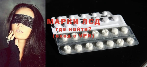 прущие грибы Алзамай
