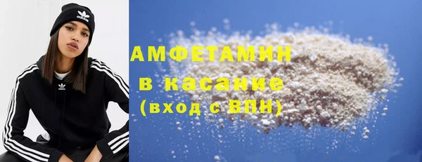 прущие грибы Алзамай
