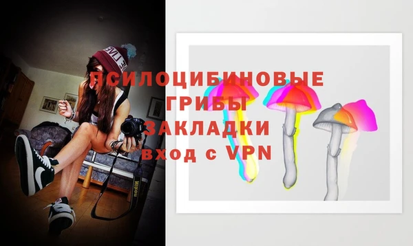 прущие грибы Алзамай