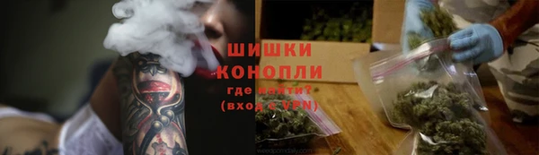 прущие грибы Алзамай