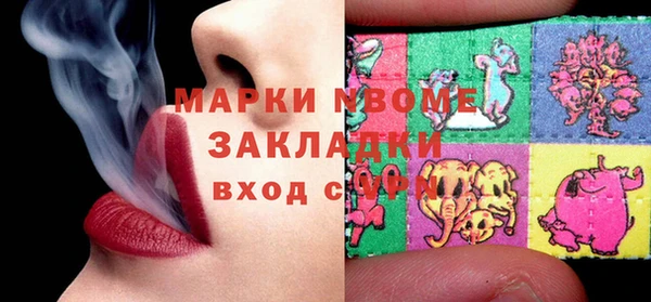 прущие грибы Алзамай
