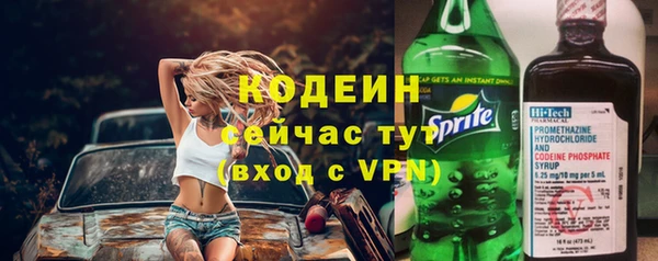 прущие грибы Алзамай