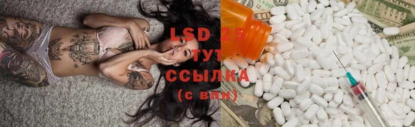 PSILOCYBIN Алексин