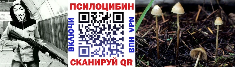 Галлюциногенные грибы мицелий купить цена Балашиха
