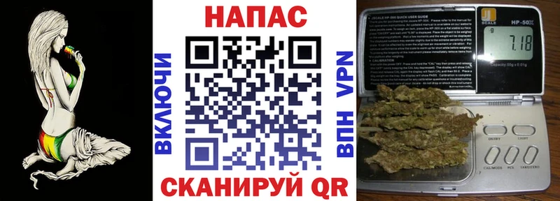 Конопля гибрид  даркнет Telegram  Балашиха  как найти закладки 